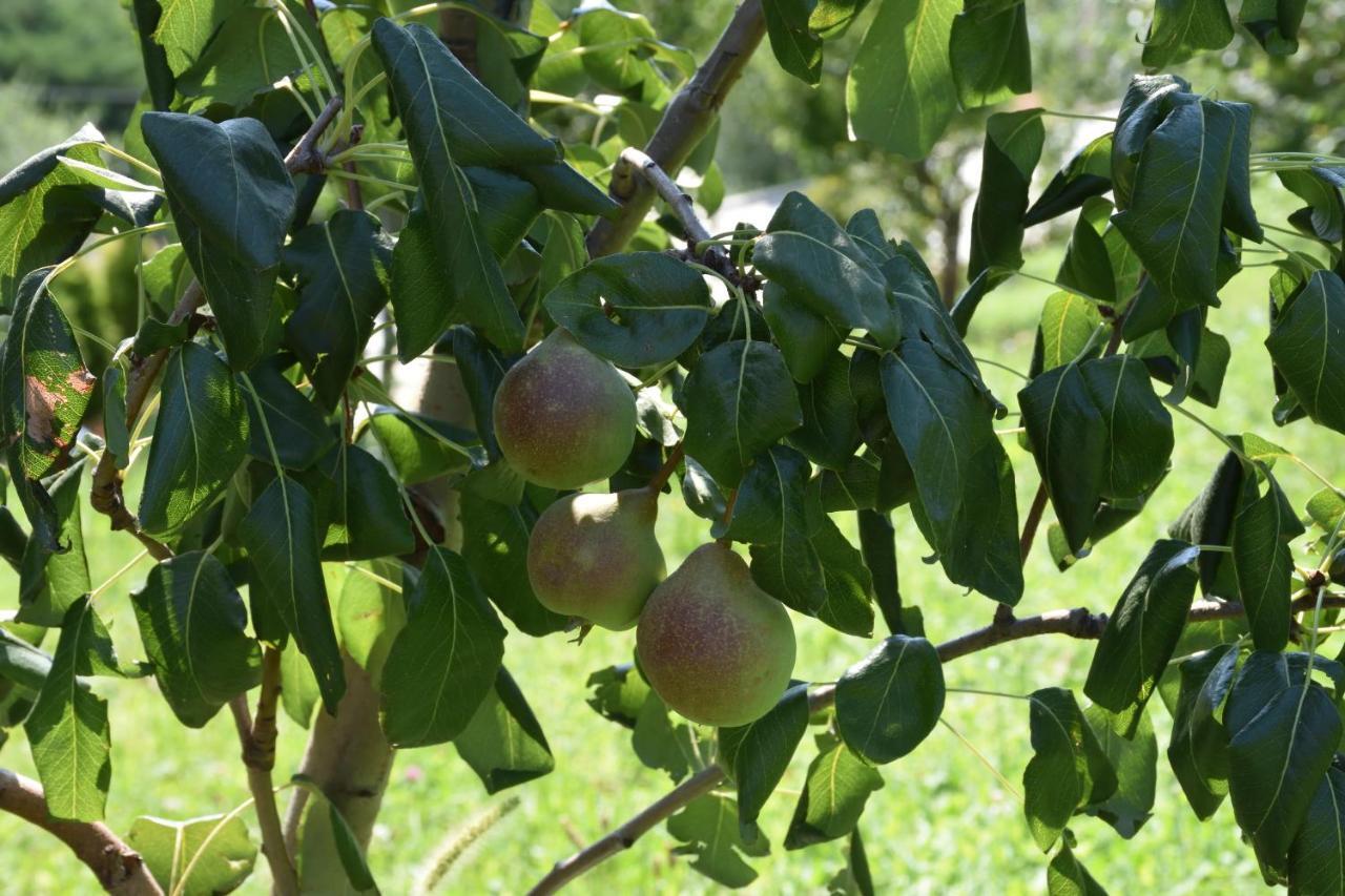 הוילה בלאג'יו Agriturismo Il Colle מראה חיצוני תמונה